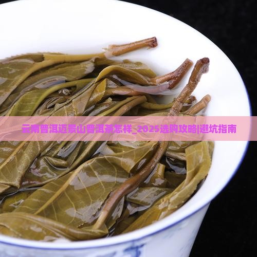 云南普洱景迈山普洱茶怎么样？2025选购攻略｜避坑指南