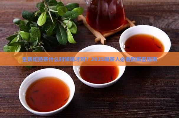 生茶和熟茶什么时候适宜喝