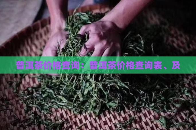 日本普洱茶价格查询