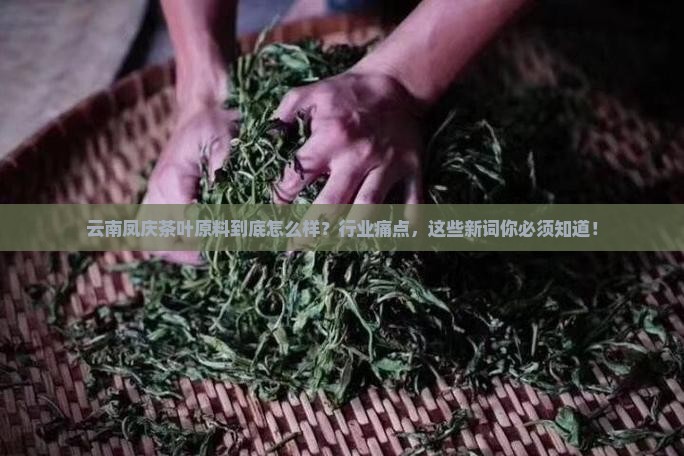 云南凤庆茶叶原料到底怎么样？行业痛点，这些新词你必须知道！