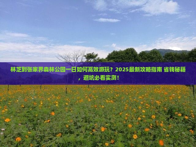 林芝到张家界森林公园一日