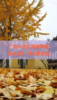 广安去北京动物园自由行
