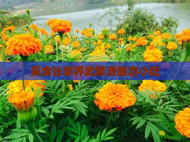 秋天到张家界武陵源旅游小吃