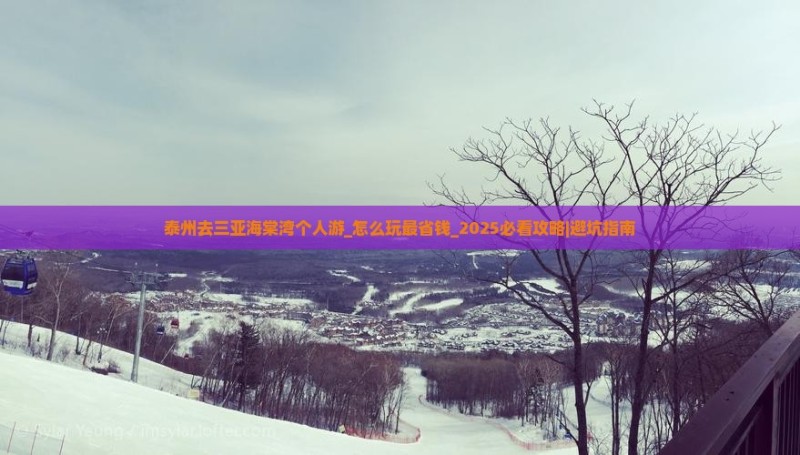 泰州去三亚海棠湾个人游