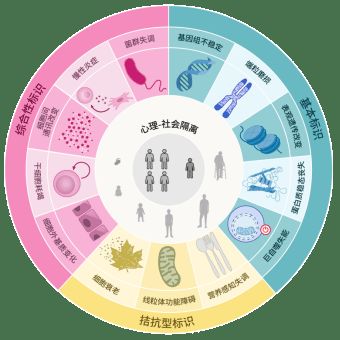 从治病到防未病，企业家们为何青睐八子补肾？